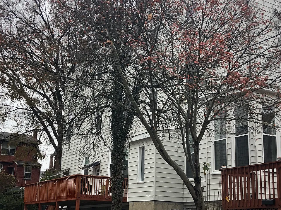 455 Warner St #2