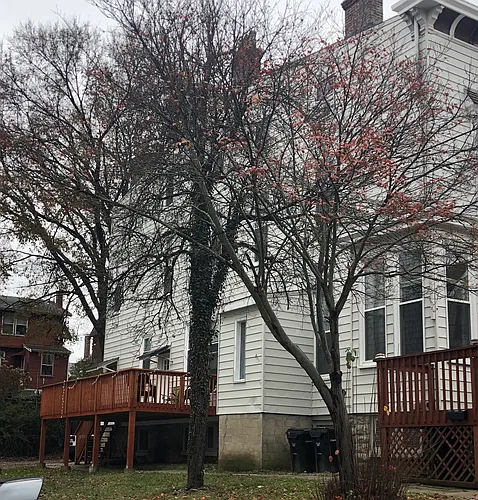 455 Warner St Photo 1