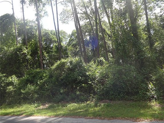 4th image of 10525 N Orva Dr