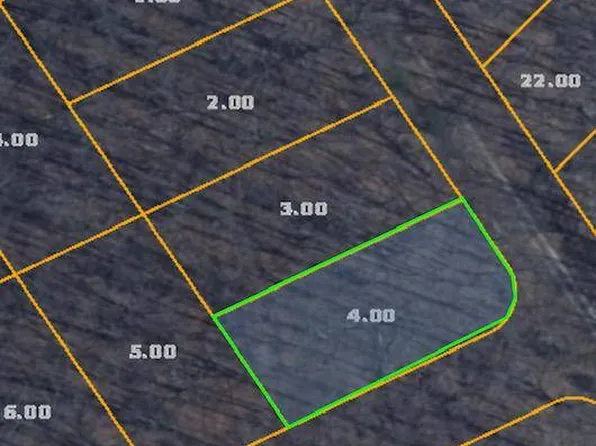 28 Blackfoot Trl W, Crab Orchard, TN 37723