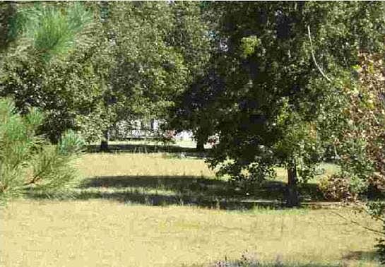 2nd image of 2037 Victoria Rd