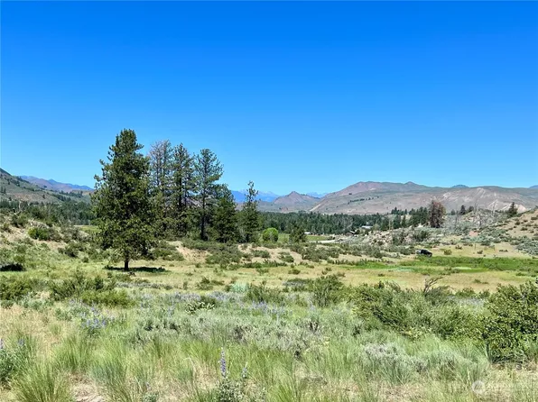 33 Benson Creek Road, Twisp, WA 98856