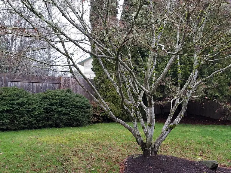 Yard 2