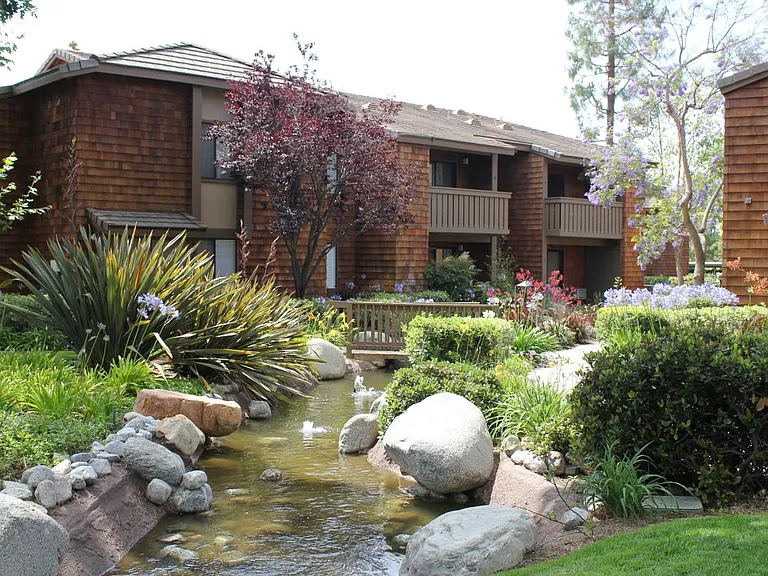 33852 Del Obispo St #107 — Photo 3