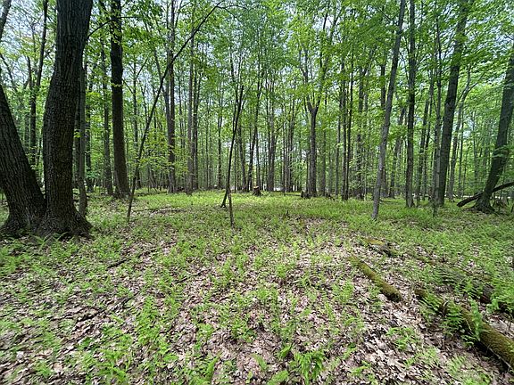 2nd image of 915 Galloway Rd
