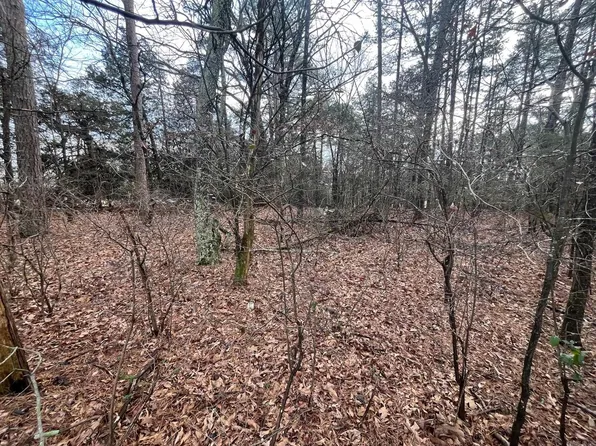 (undisclosed Address), Damascus, AR 72039