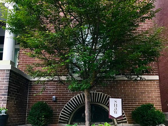 3rd image of 3645 Botanical Ave #3645A