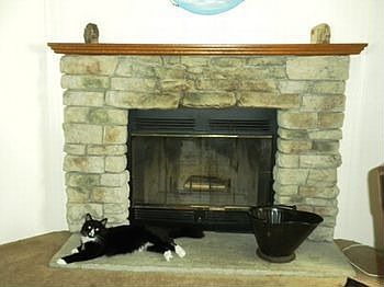 248 Valentine fireplace.jpg