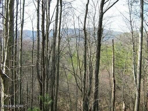 1st image of 0 Faith Mountain Way Lot 7