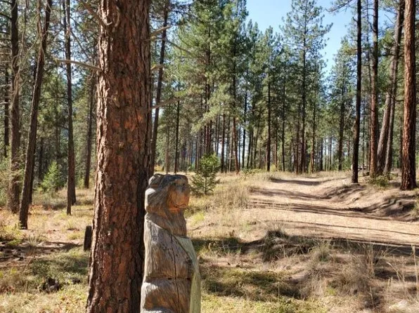 14 Donlan Flats Rd, Saint Regis, MT 59866