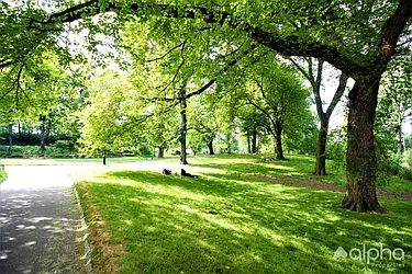 Rented by Alpha Properties NYC I LLC