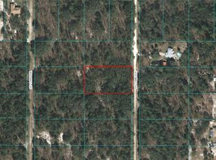 0 SW 122nd Ave, Dunnellon, FL 34432