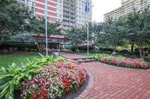 3rd image of 801 N Pitt St APT 215