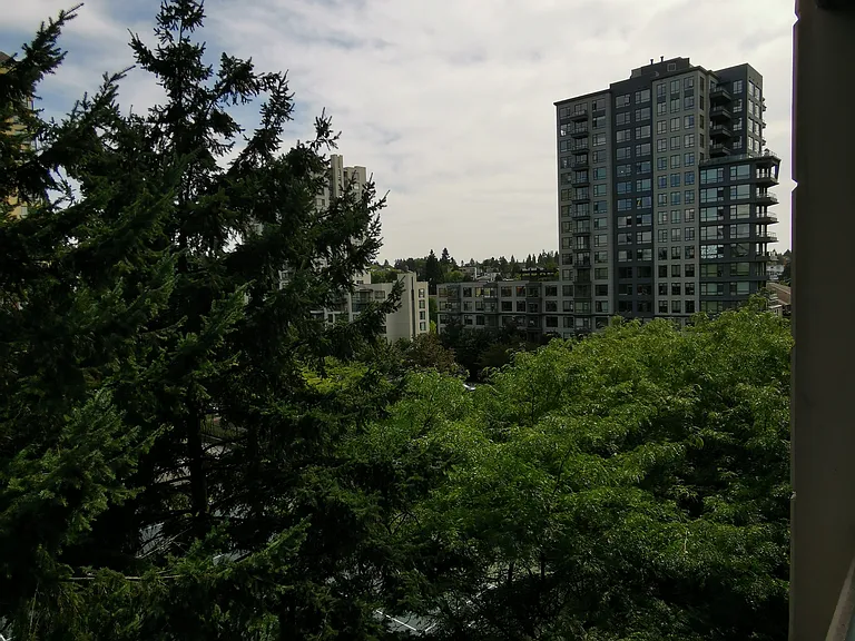 3528 Vanness Ave — Photo 55