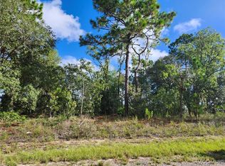 6731 N Darlington Dr, Citrus Springs, FL 34434