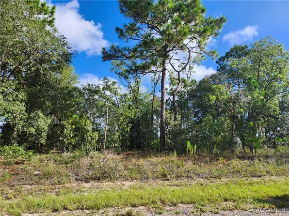6731 N Darlington Dr, Citrus Springs, FL 34434