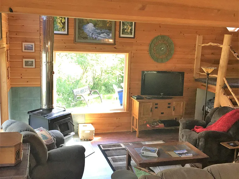 Living room, 65" TV, woodburning stove