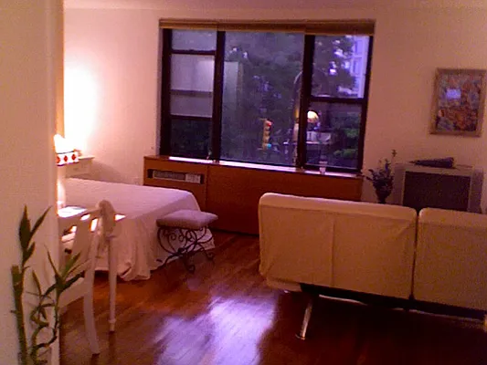 Rented by Eric Goodman Realty Corp | media 51