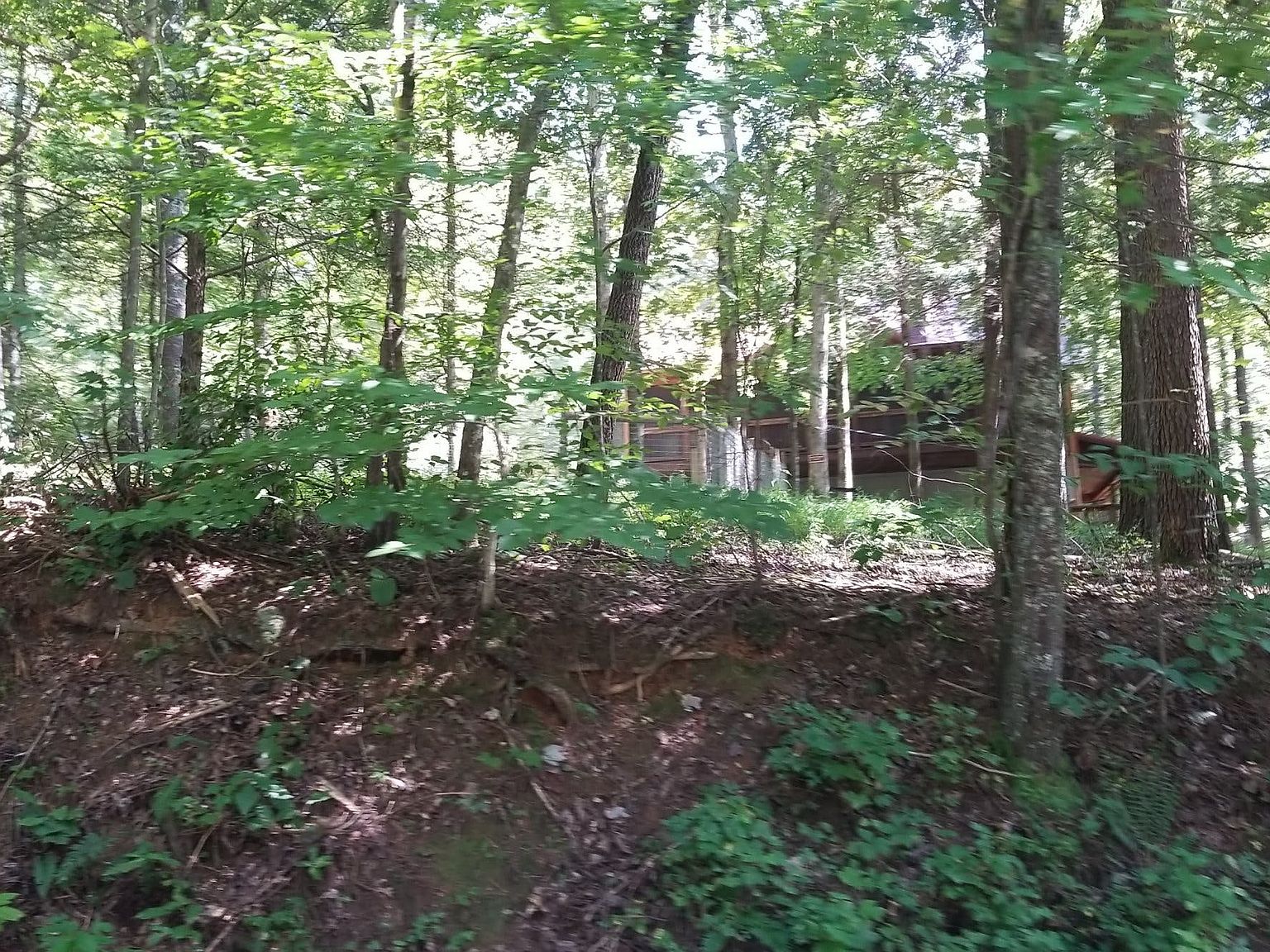 2587 Goose Island Rd 1, Ellijay, GA 30540 Zillow