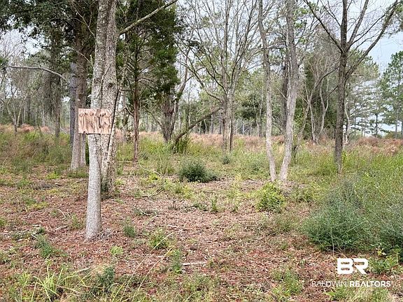 3rd image of 0 Old Brady Rd