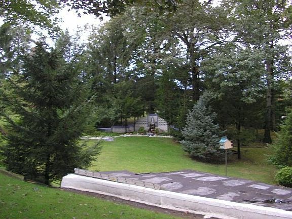 Park like yard