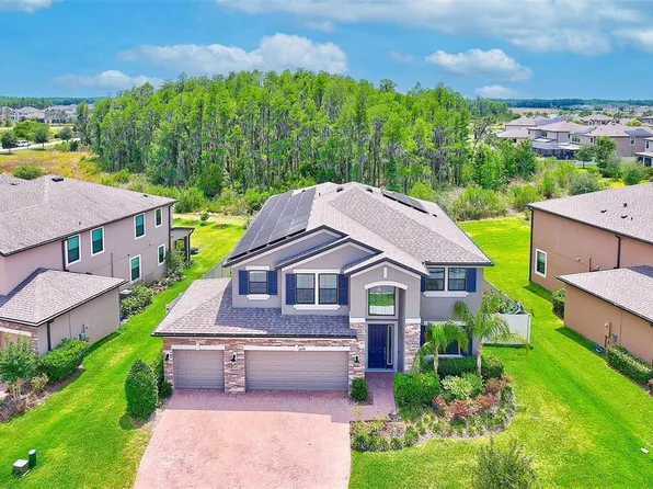 10739 Pleasant Knoll Dr, Tampa, FL 33647