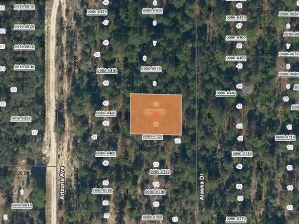 231 Alaska Dr Lot 10, Hawthorne, FL 32640