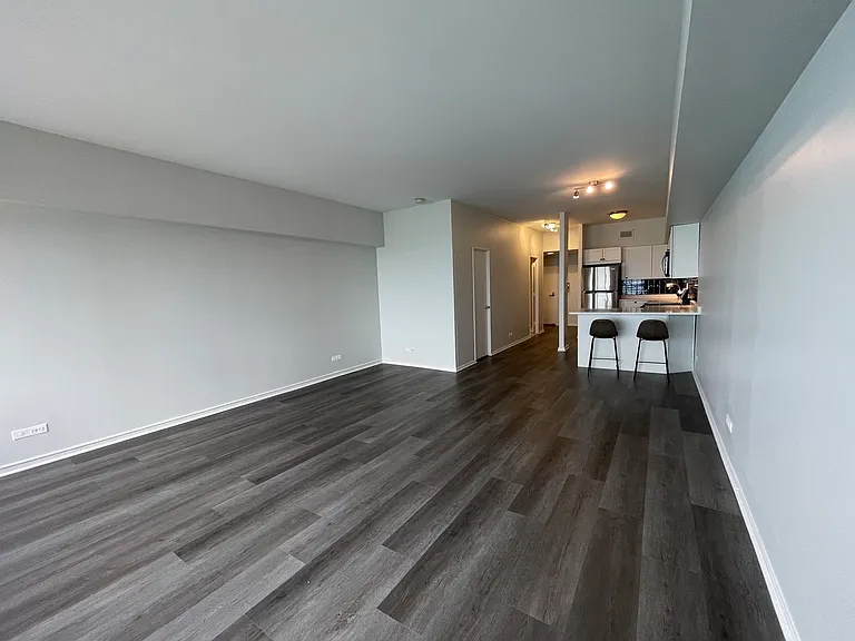 175 E Delaware Pl #5004 — Photo 11