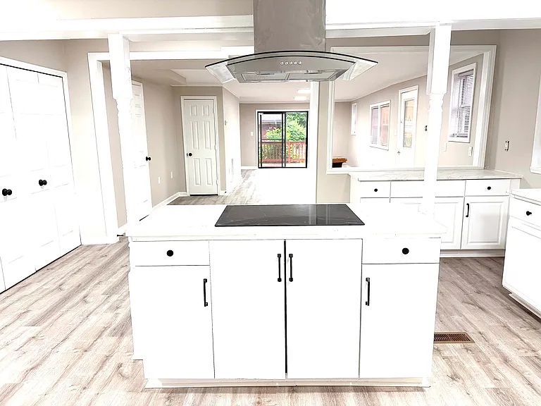 Kitchen area - Cook top & vent hood