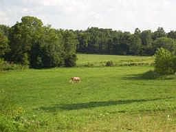 2nd image of 5185 W County Road 450s