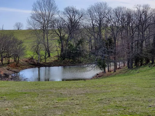 Lot 5 N Farm Road 61, Walnut Grove, MO 65770