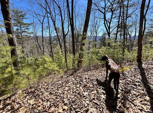 71 Waldroup Rd, Hot Springs, NC 28743