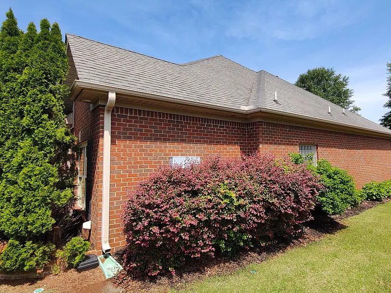 Landscaping on the east side with hydrangeas.