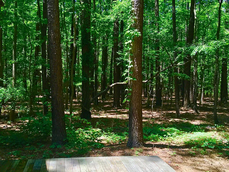 111 Fox Run Ln — Photo 14