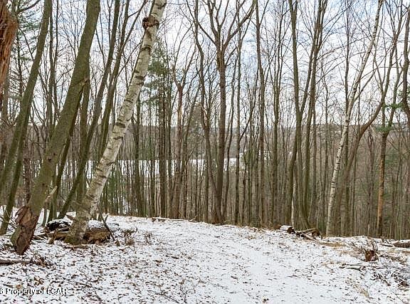 4th image of LOT 31 Carverton Rd
