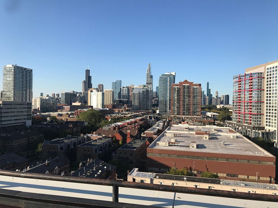 Skyline view from the green rooftop sundeck.