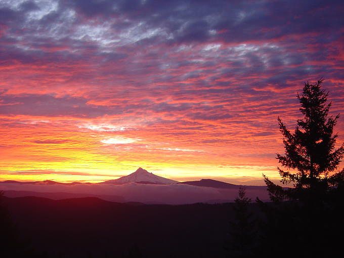 Sunrise