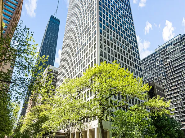 260 E Chestnut St APT 314, Chicago, IL 60611