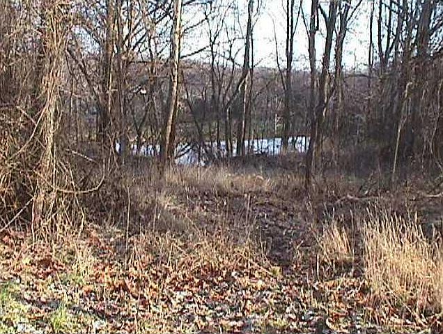 2nd image of 2819 Fox Ct