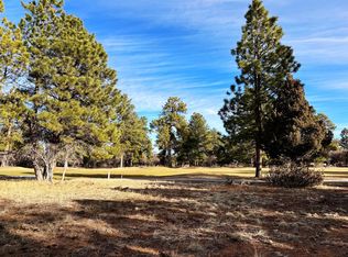 120 Puma Ln LOT 262, Ridgway, CO 81432