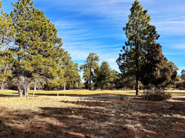 120 Puma Ln Lot 262, Ridgway, CO 81432