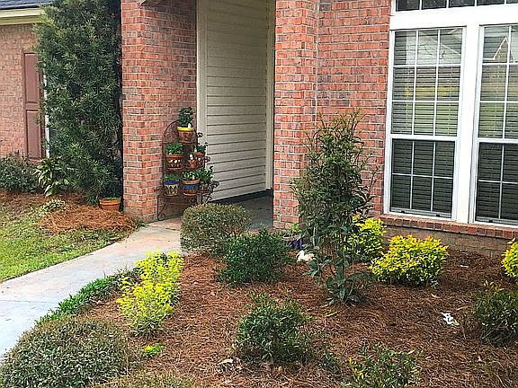 4th image of 105 Wolf Lair Dr