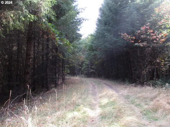 0 NW Crane Ln #1, Yamhill, OR 97148