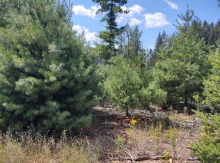 W Metz Hwy, Hawks, MI 49743