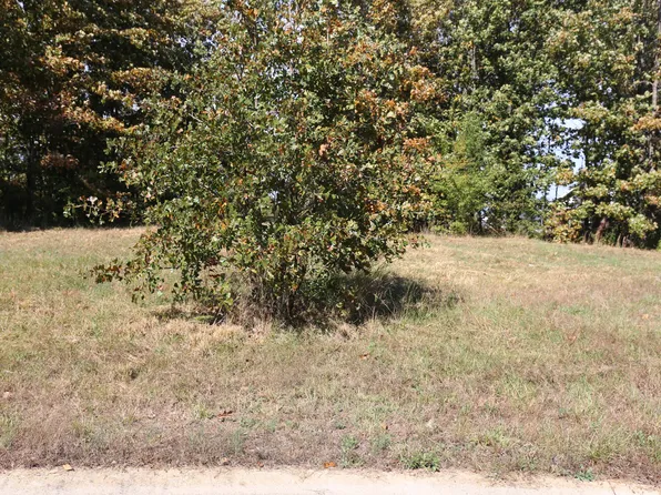 000 Wild Turkey Block 1 Lot 4, West Plains, MO 65775