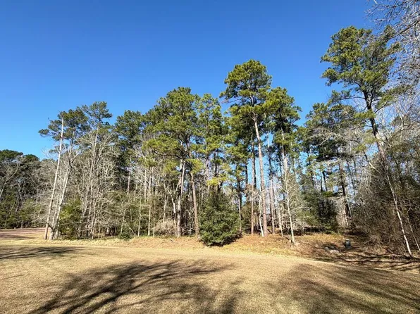 0 S Royale Greens Dr, Coldspring, TX 77331