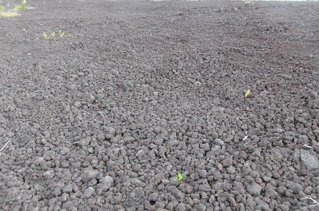 1st image of 92-8960 Menehune Dr Lot 121