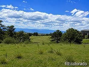 2nd image of 2 Forest Rim