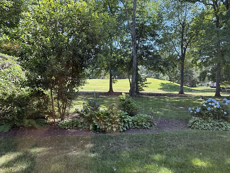 1301A Eagles Trace Path #1 — Photo 15