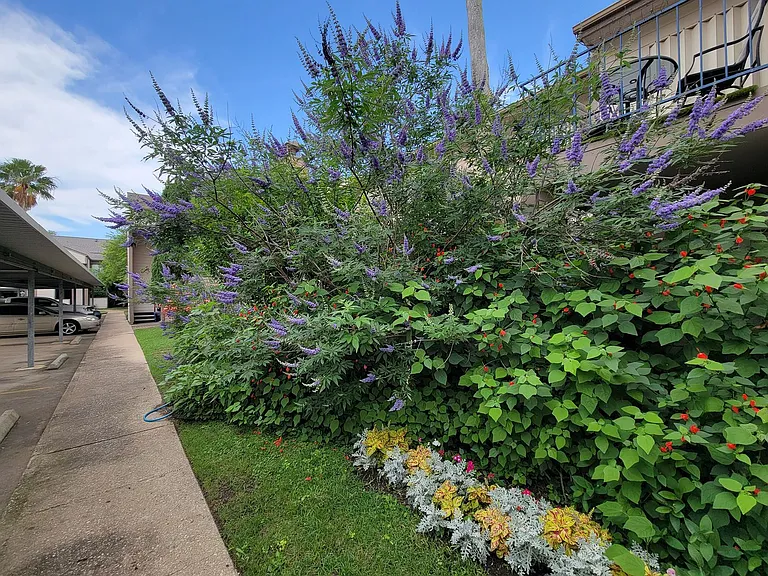 7119 N Holiday Dr — Photo 37